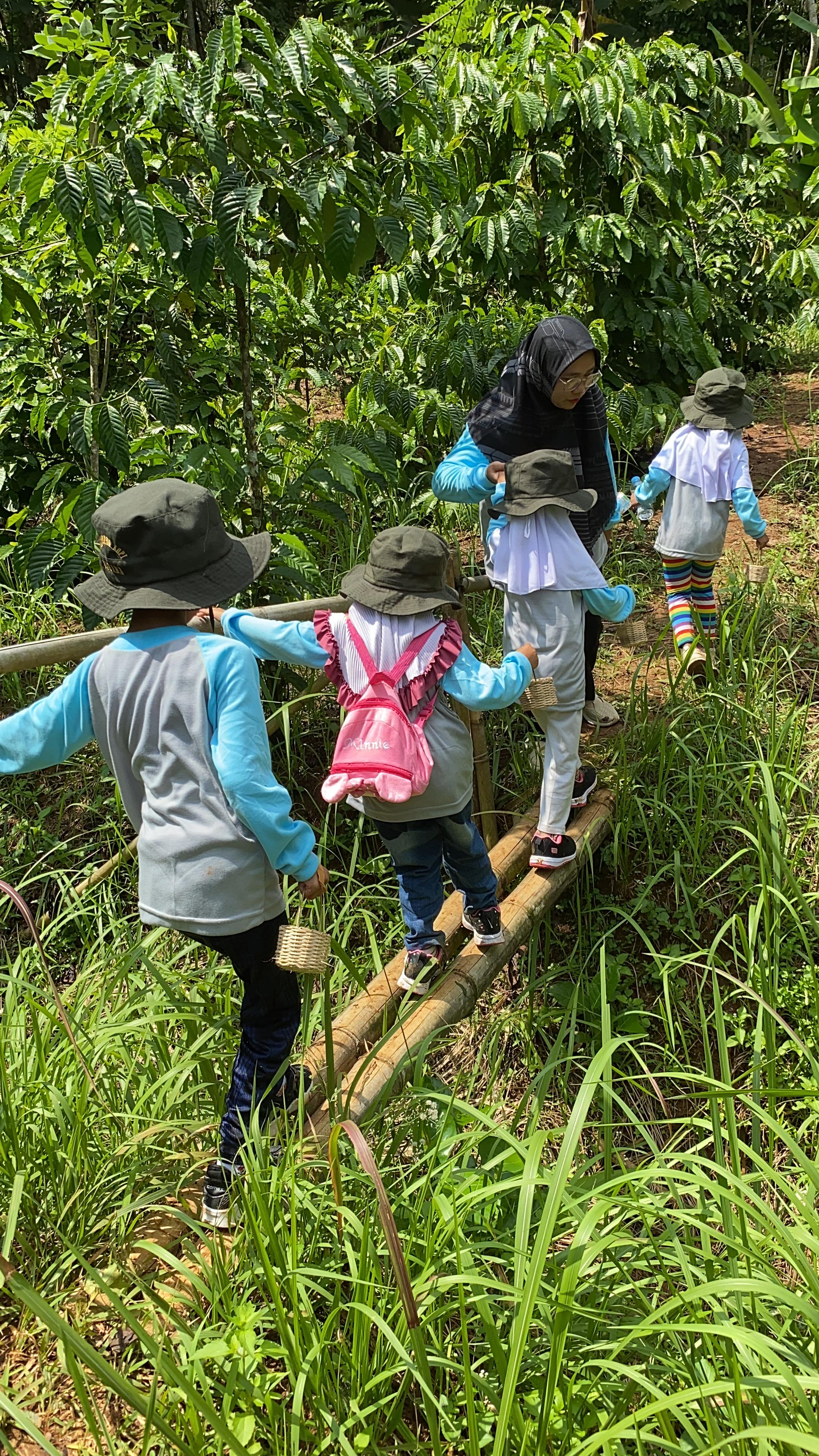 Kebun Kopi Sugara