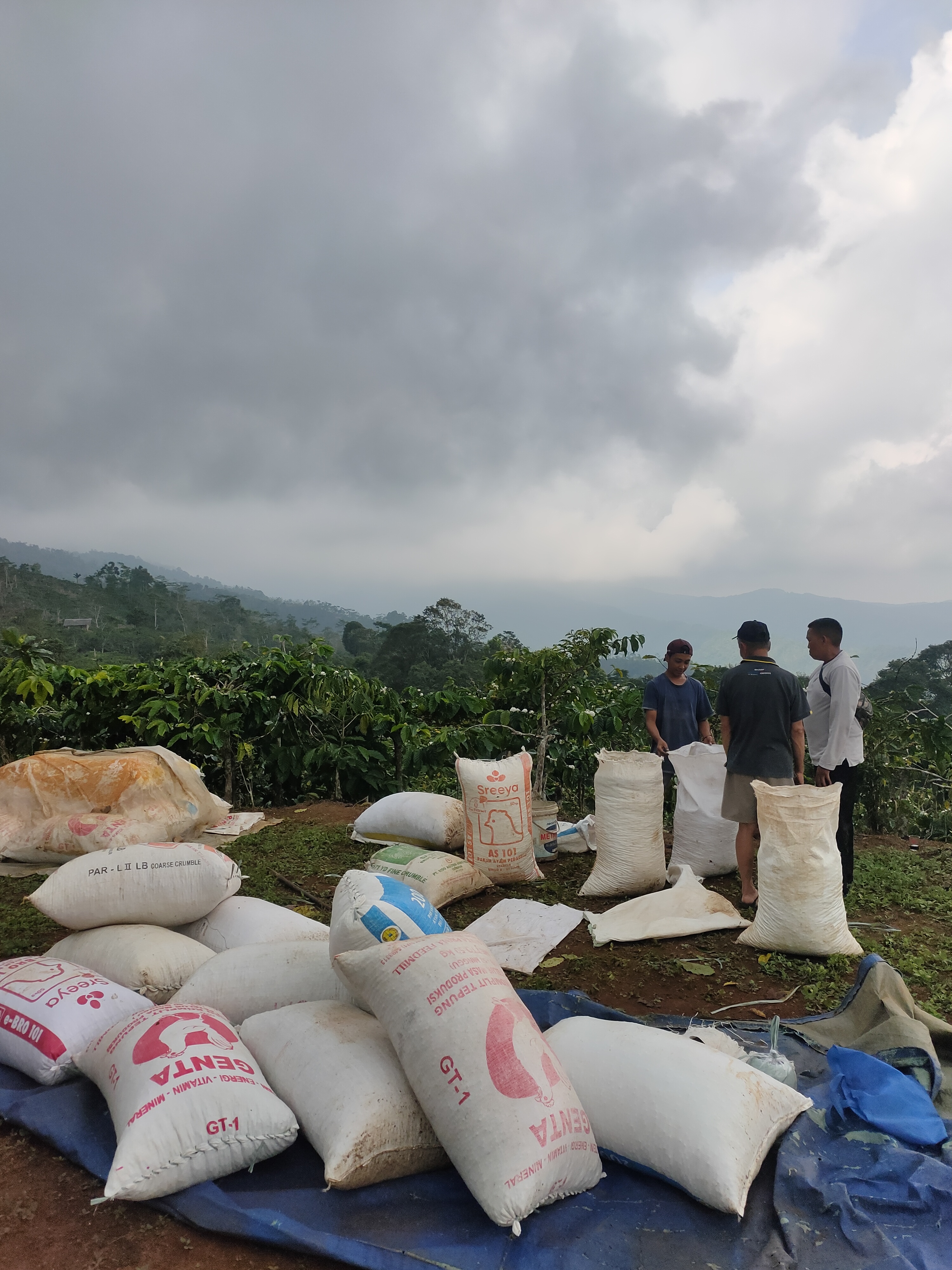 Trip Kebun Kopi Cilacap