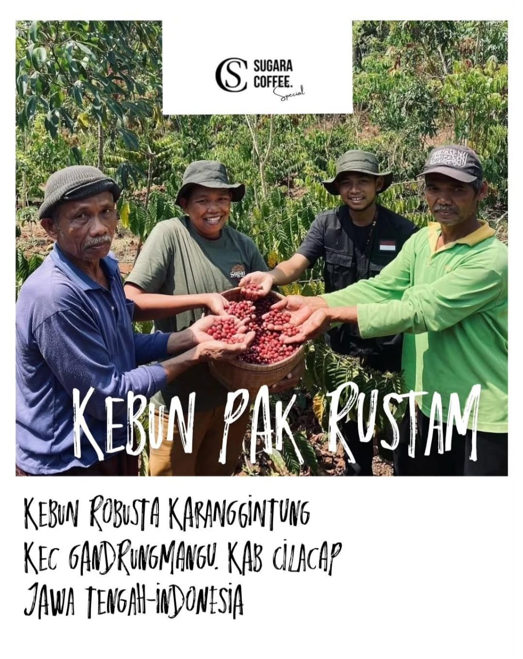 kebun